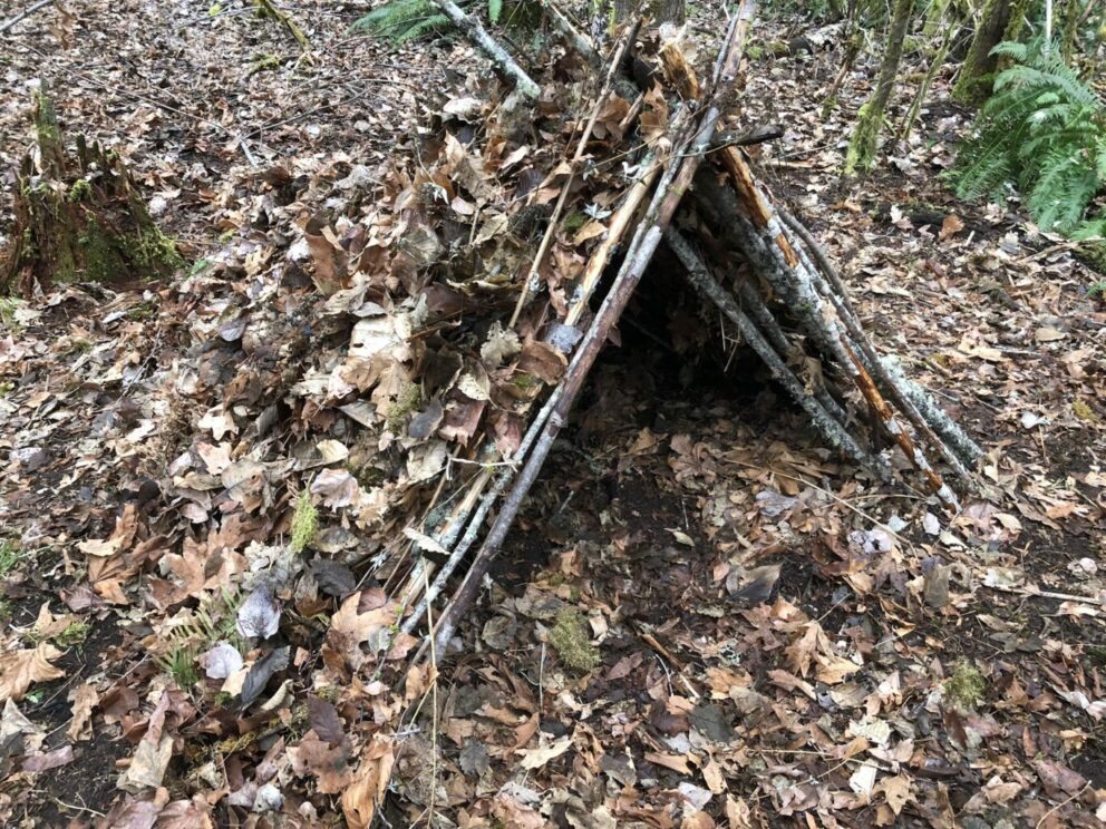 Building a debris hut